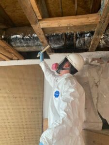 Mold Remediation Removing Mold