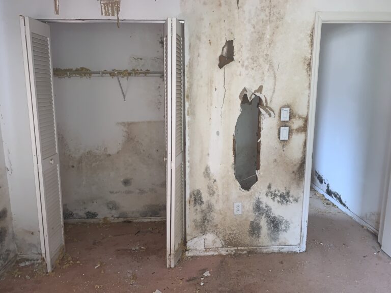 mold infested home