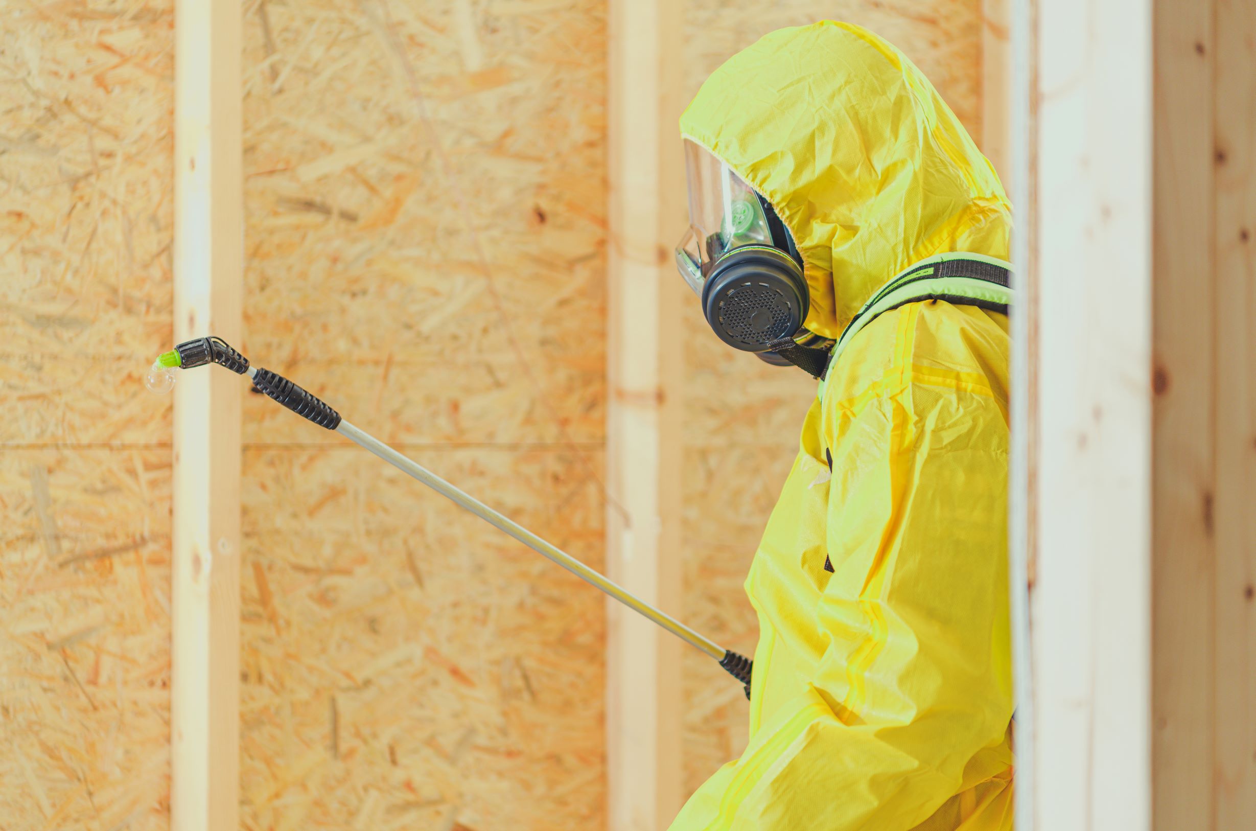 Mold Testing & Remediation